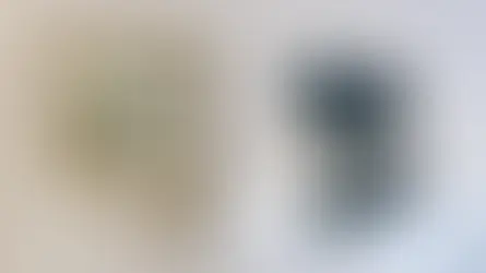 Galerie mit gerahmtem Winterlandschaftsbild und dunkler Rind-Skulptur auf weißem Podest.