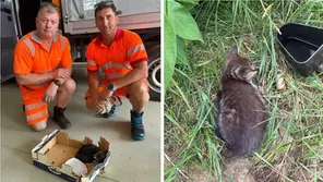 Christian und Jürgen von der Autobahnmeisterei Knittelfeld retten ein Kätzchen von der S36 und bringen es ins Tierheim Knittelfeld.