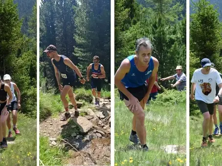 Läuferinnen und Läufer auf der Berglaufstrecke des 30. HAGE Zirbitzlaufes Richtung Rothaidenhütte.