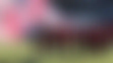 Die Murtal Bulls beim Saisonauftakt gegen die Weinviertel Spartans im Sportstadion Knittelfeld.