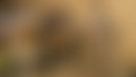 Trio Tafner-Schmidpeter beim Bunten Abend des Musikvereins St. Marein mit Gesang, Gitarre und Harmonika