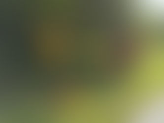 T03-Verkehrsunfall mit Motorrad