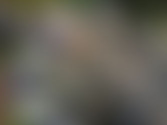 Verkehrsunfall auf der B65