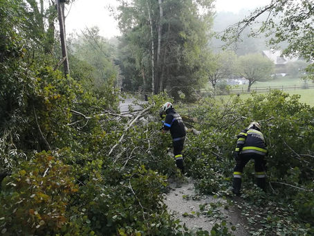 Technischer Einsatz - T01 Baumbergung