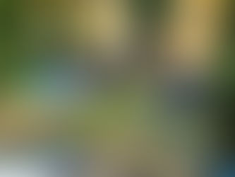 Technischer Einsatz - T11 Menschenrettung