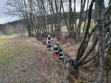 T01 Schaftal bei Sägewerk Neubauer - Baum droht auf Stromleitung zu stürzen