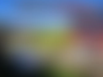 Technischer Einsatz - T03 Unterstützung mit WLF-K