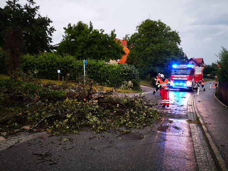 Technischer Einsatz - T07 Mehrere Bäume über Straße