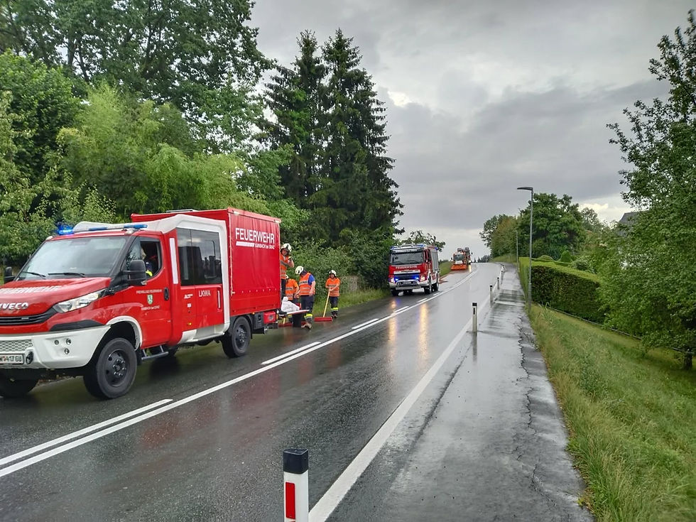 Technischer Einsatz - T03 Ölbindearbeiten