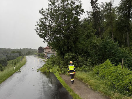 Technischer Einsatz - T07 Unwettereinsätze/Baumbergungen