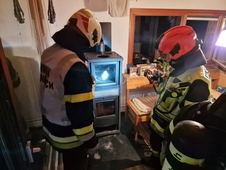 Brandeinsatz - B02 Vermeintlicher Kaminbrand
