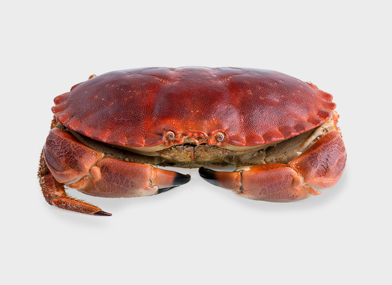 Whole Cooked Crab 500g