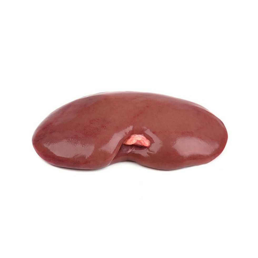Beef Kidney 500g