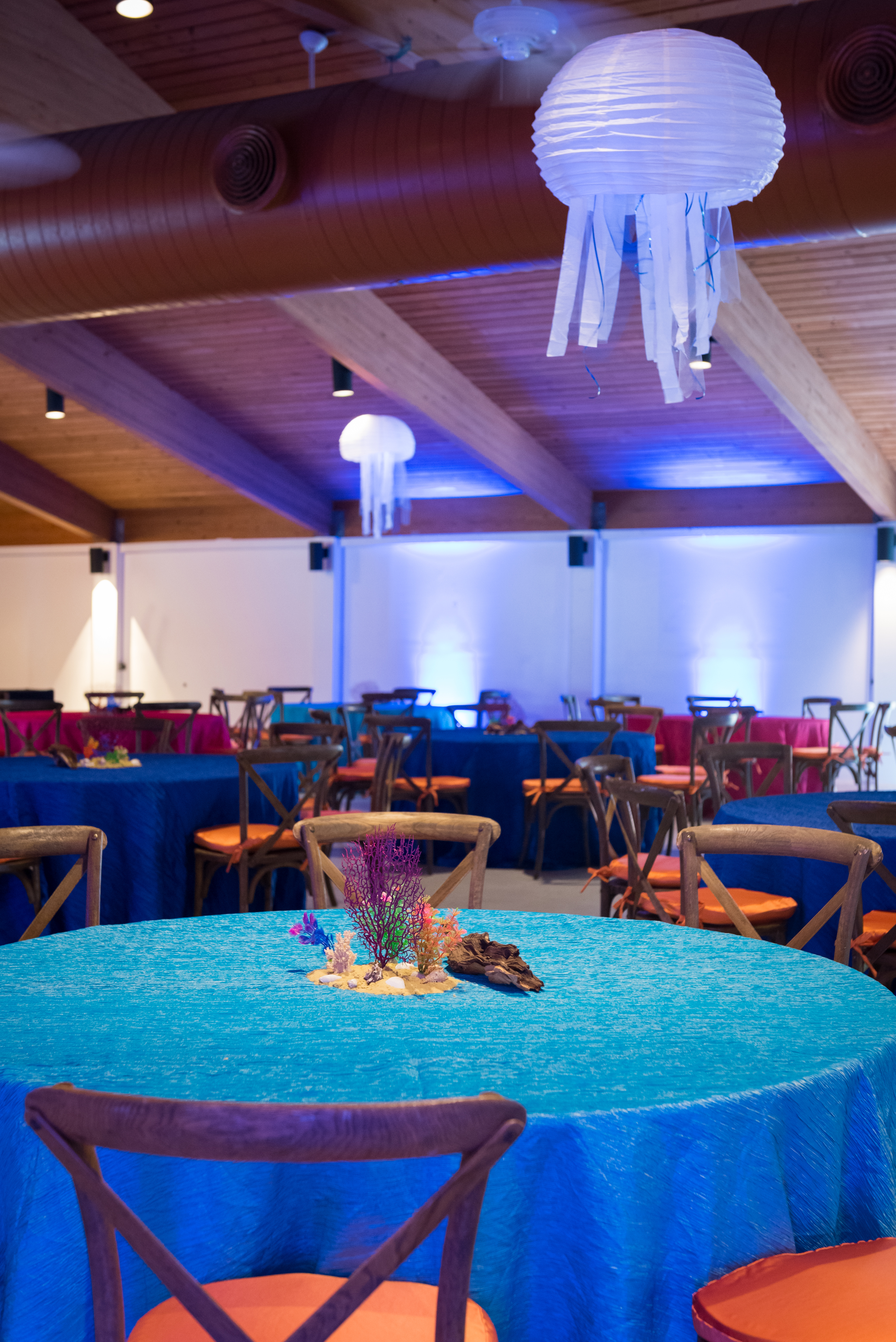 envents_under the sea gala_under the sea