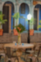 envents-corporate-event-design-havana-nights-decor-backdrop-palm-trees-wood-table-metal-chairs-tropi