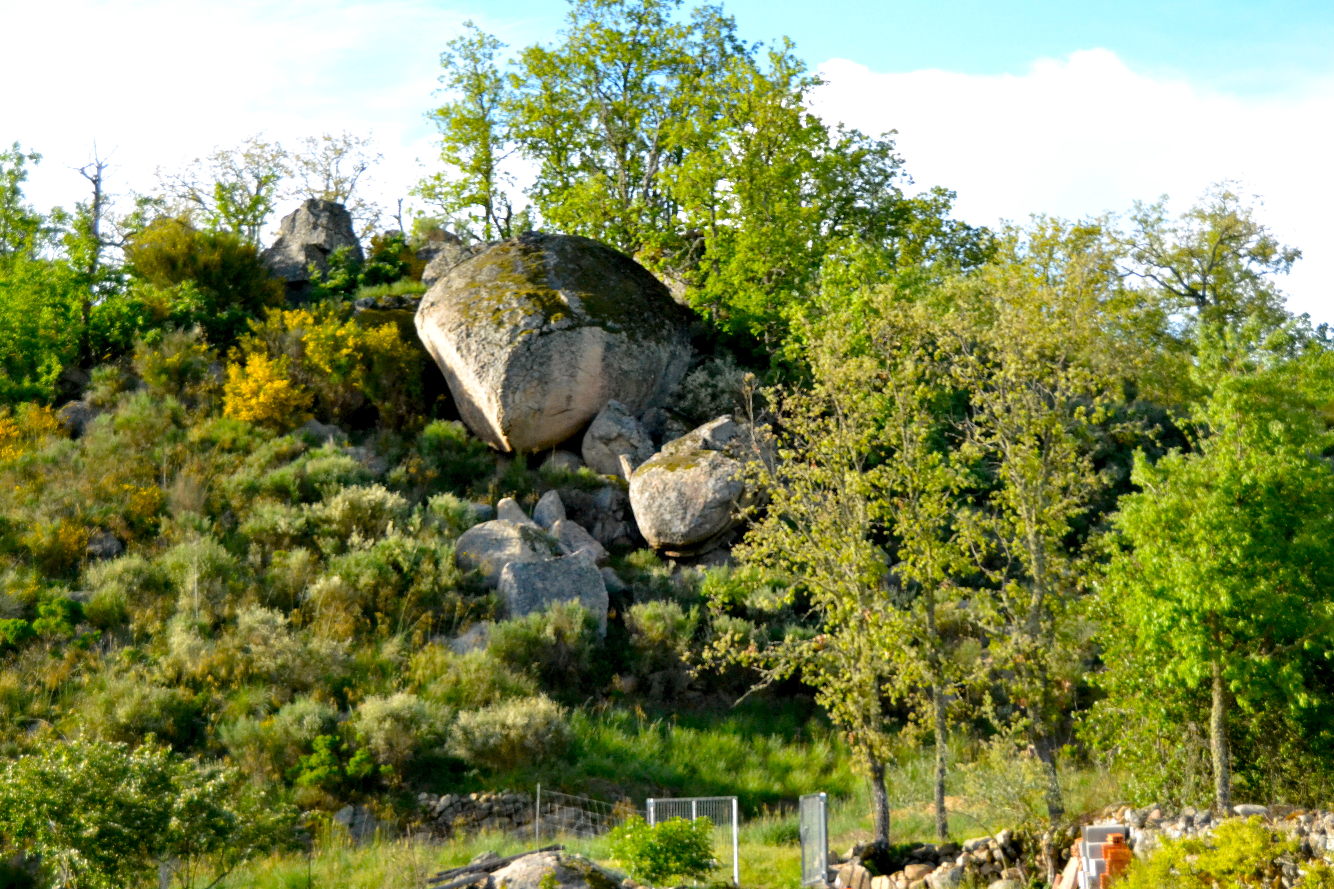 Carya Tallaya - Photo 2