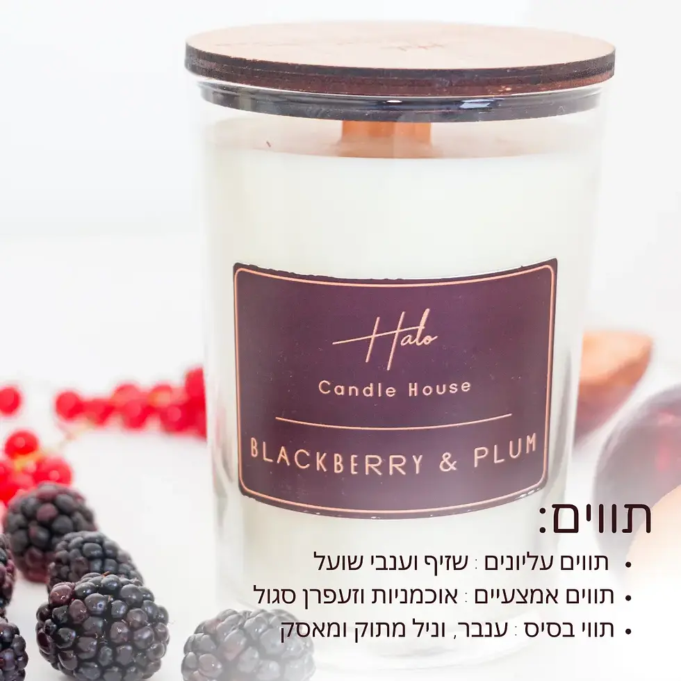 תמונה ממוזערת: נר ריחני אוכמניות ושזיף בכוס זכוכית עם מכסה עץ ותווית סגולה של HALO Candle House, מוקף בפירות יער שחורים ודומדמניות אדומות