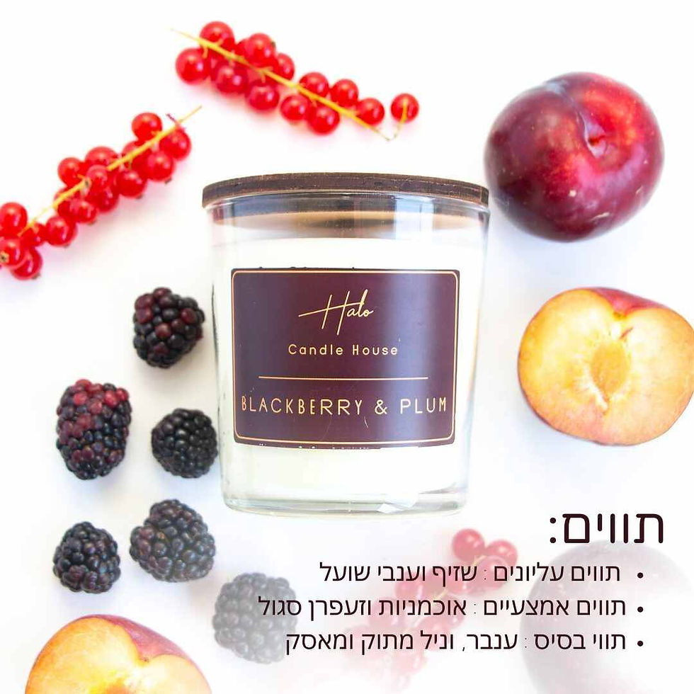 תמונה ממוזערת: נר ריחני אוכמניות ושזיף בכוס זכוכית עם תווית לבנה של HALO Candle House, מוצג עם פירות יער ושזיפים טריים