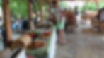 Sedir Resort Dalyan