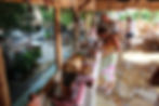 Sedir Resort Dalyan