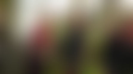 COMMUNITY DEFENSE AND THE WEAPONIZATION OF IDENTITY