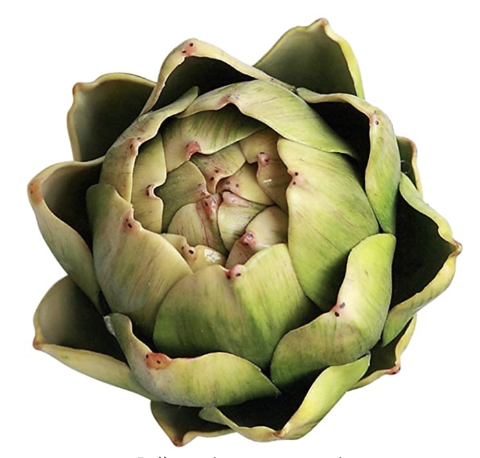 Faux Artichokes