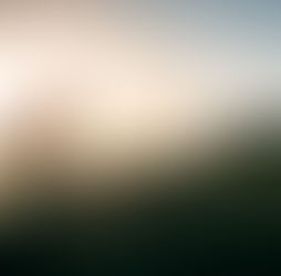 Is life a game? A reflection by Gus Ibarra