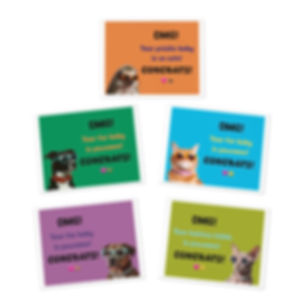 OMG! Your Pet is Cute! Congrats! Greeting Cards (5-Pack)