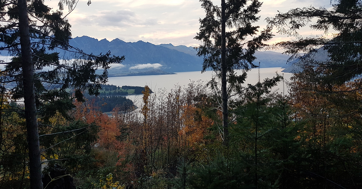 20190508_172534.jpg