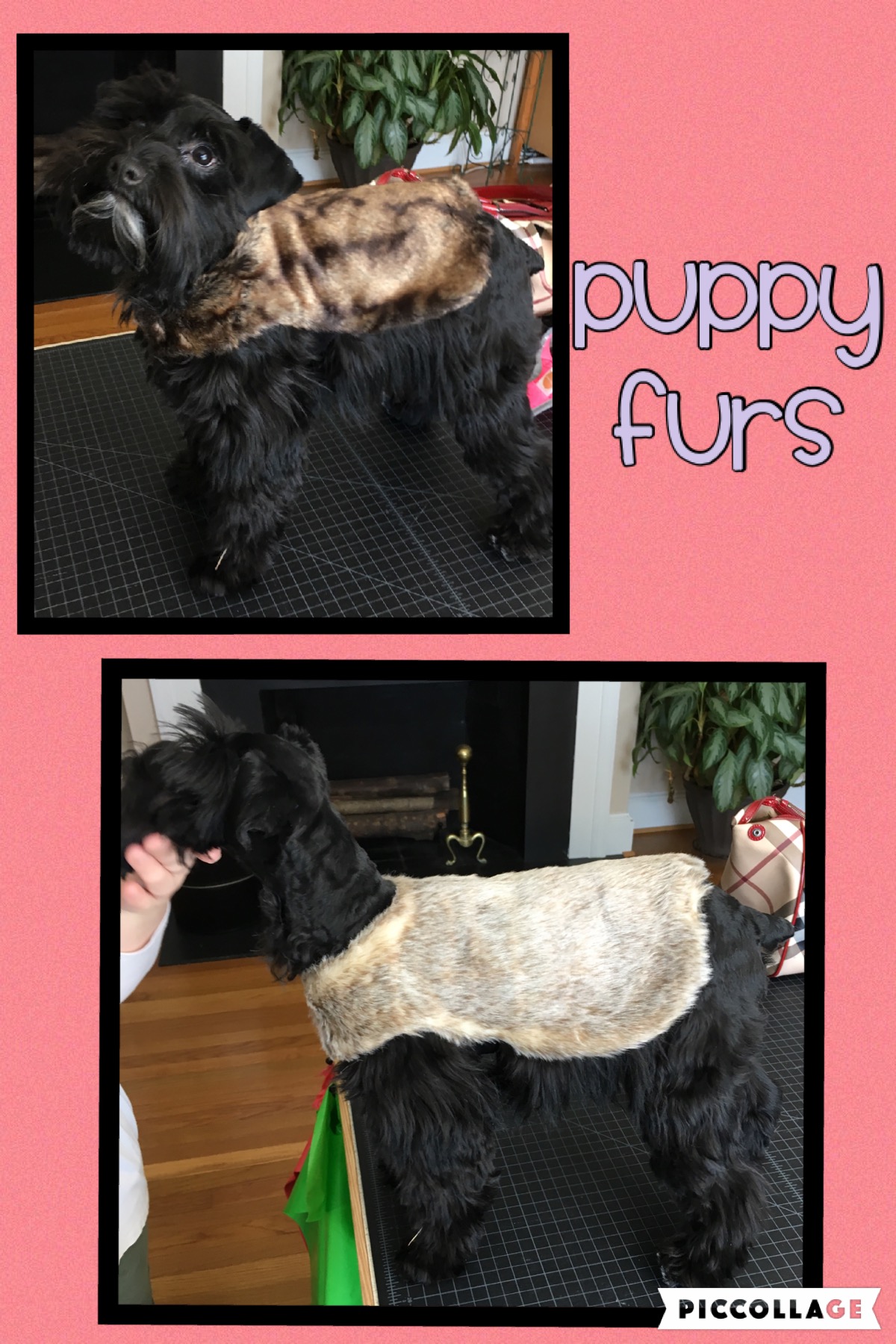 Fur Coats for your puppys