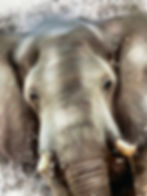 Thumbnail: Brown, grey, elephant, splatter, painting, print, poster, bedroom, kitchen, decor, home, art, animal, african, nature,