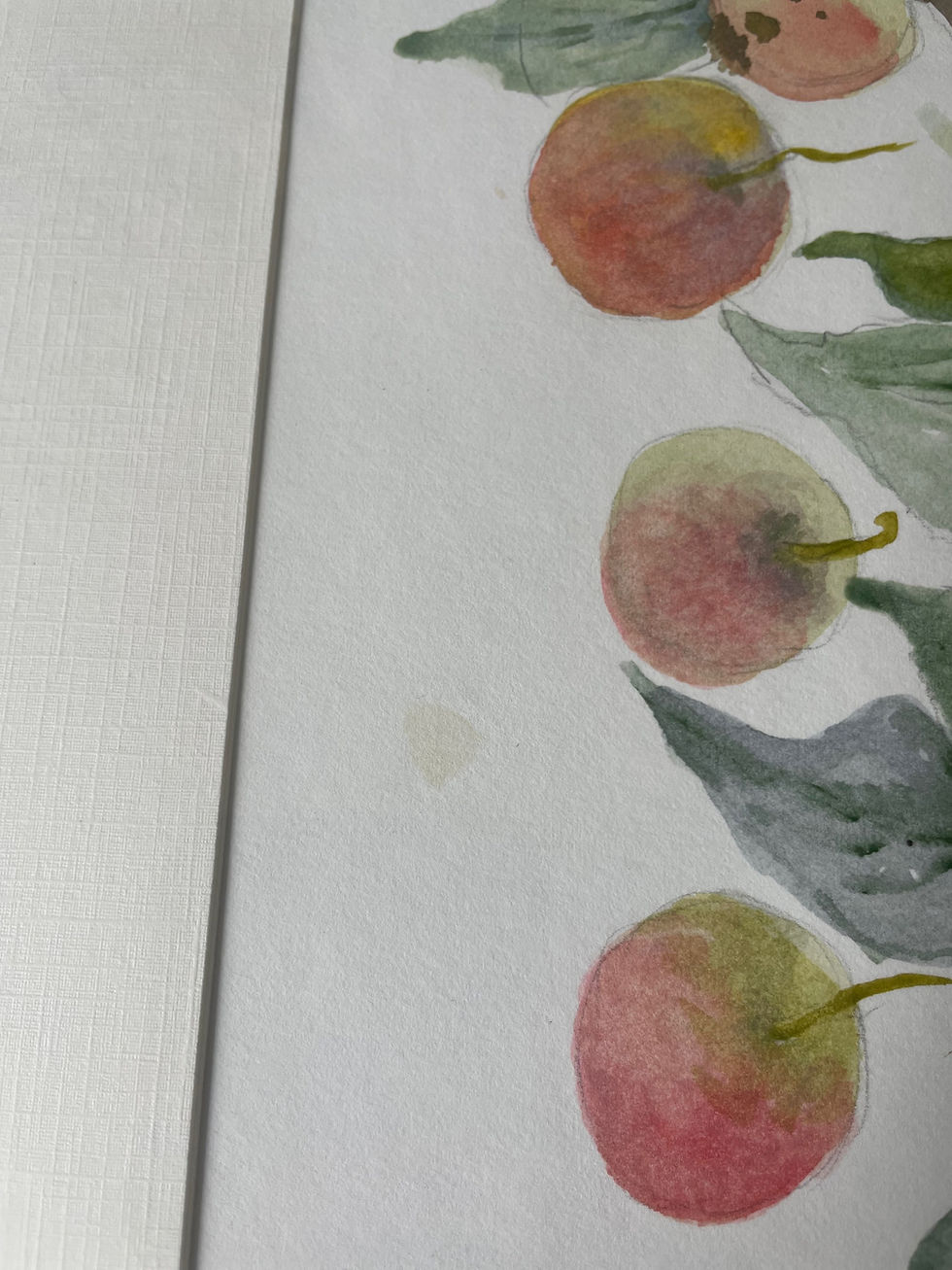 Thumbnail: Original Unframed Fruit Tree Watercolour Painting
