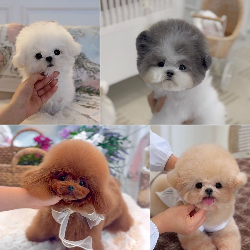 홈페이지 사진.jpg