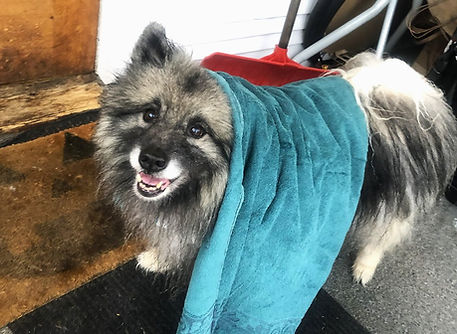 Bathtime.jpg