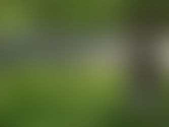 ORDER OF WORSHIP, AUGUST 11, 2024