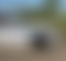 The police seek public assistance in homicide case in Mississauga