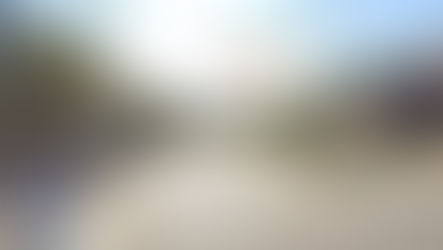 At Blake St + Boultbee Av, Toronto Police received reports of SOUNDS OF GUNSHOTS