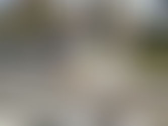 In Toronto, a man was shot and taken to the hospital at Jane Street and Yorkwoods Gt