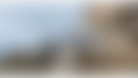 Man accused of deliberately driving Tesla off California cliff with children inside