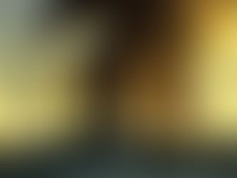 Principales contaminantes