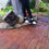 Thumbnail: comfort shoes