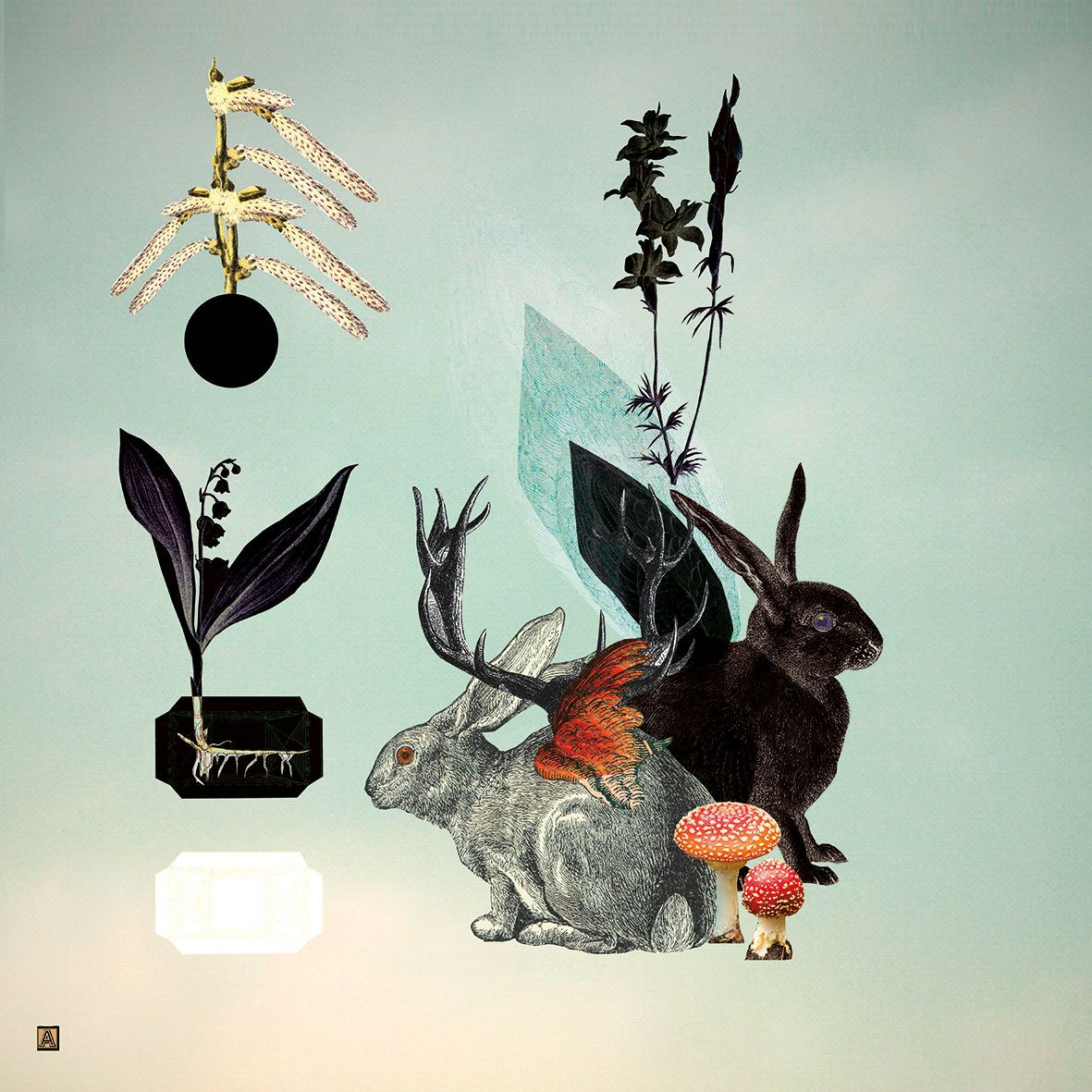 H for hare (From the unfinished dictionary)