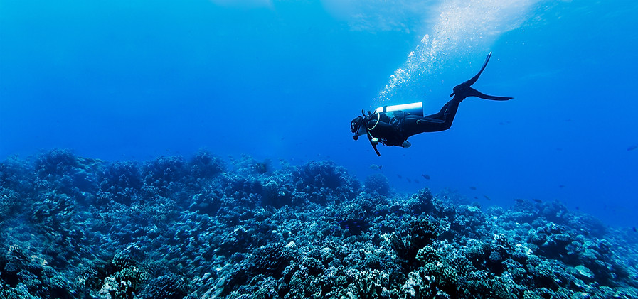 Scuba Diver en el arrecife