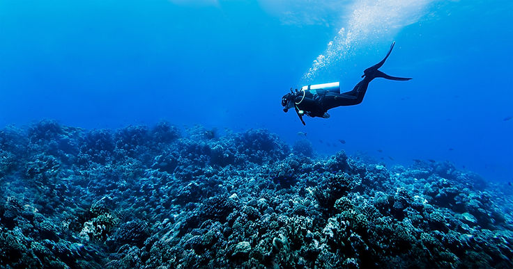 Scuba Diver in Reef