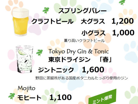 【みけねこや初夏のおすすめ】