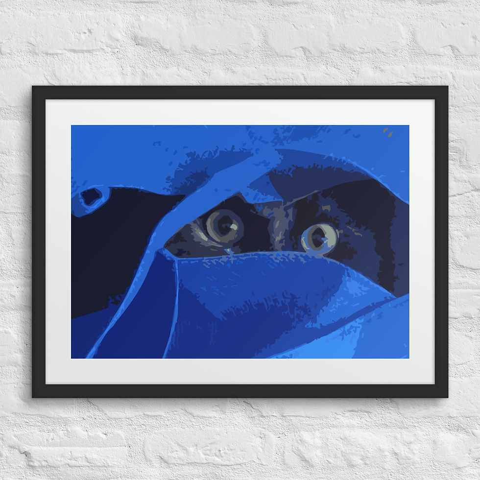 Thumbnail: Cat Eyes in Blue Framed poster