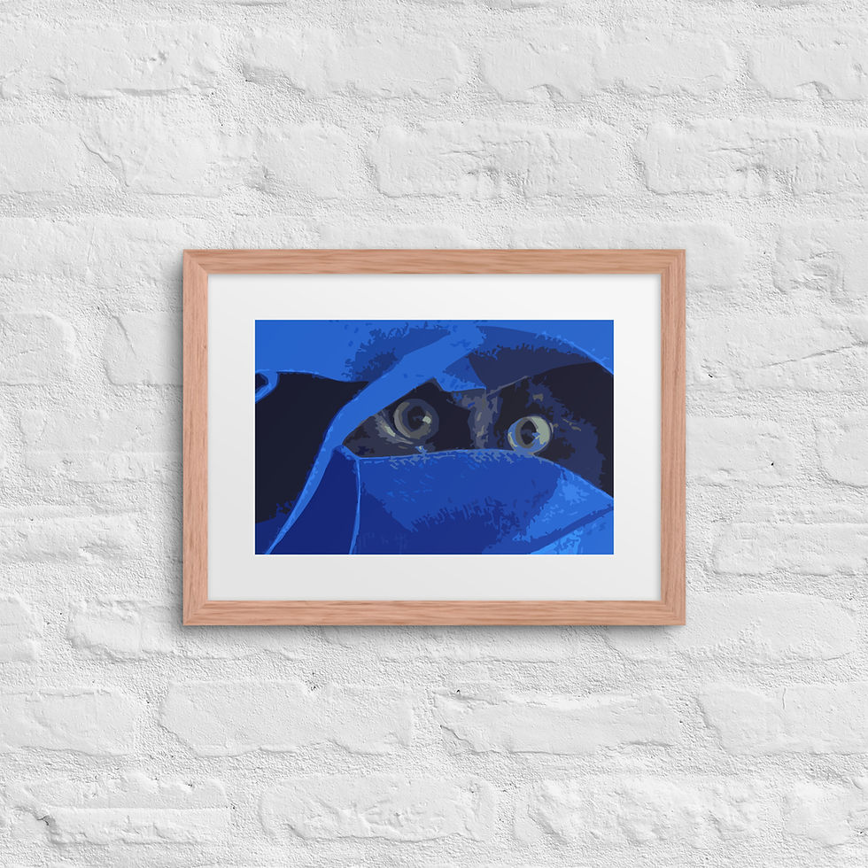 Thumbnail: Cat Eyes in Blue Framed poster