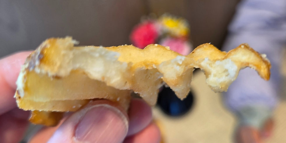 Interior texture of Chick-fil-A waffle fries