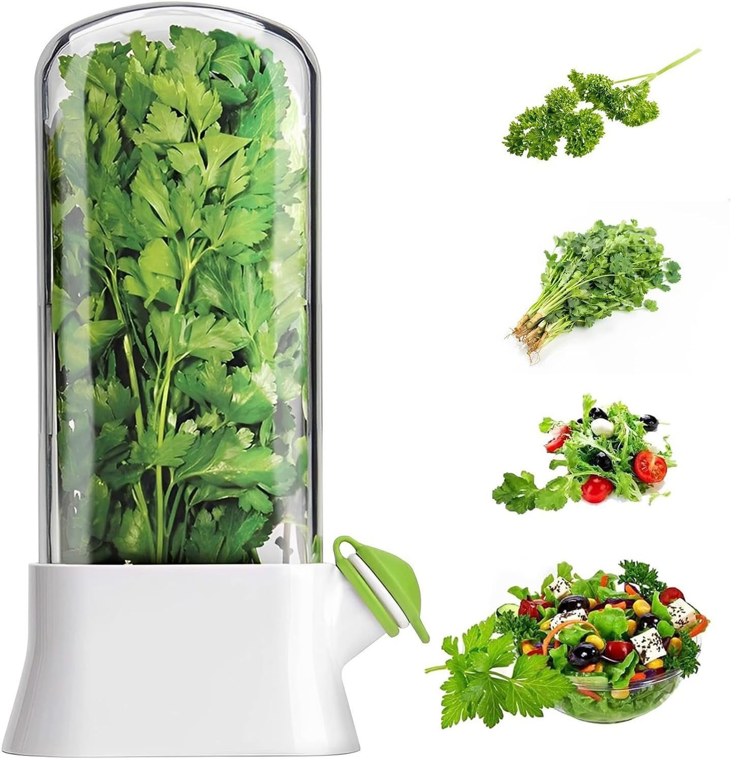 Herb Storage Container