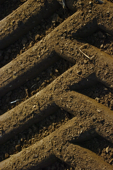 Vfarm potatoes tracks